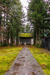 苔むした立派な山門。
当時は工事中だった。
神秘的で美しい神宮寺。
茅葺き屋根の本堂と緑が美しい苔むした境内と杉の大木林が印象的。
冬季に訪れたので、豪雪対策の雪囲いが施されている。
平安時代（8世紀末）に開創。
山門・観音堂・仏像3体が新潟県指定文化財。
境内と山林が十日町市指定文化財。
新潟県十日町市 - 2024年12月1日
