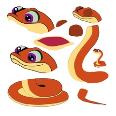 Snake animal body parts cartoon and animation