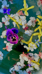 spring flowers background