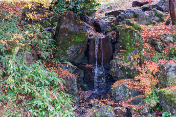 お寺の隣の公園。
池沿いに小さな滝がある。
季節的にちょうど見事な紅葉が見られた。
新潟県十日町市 - 2024年12月1日
