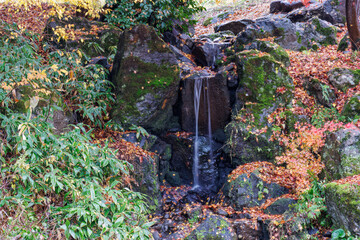 お寺の隣の公園。
池沿いに小さな滝がある。
季節的にちょうど見事な紅葉が見られた。
新潟県十日町市 - 2024年12月1日
