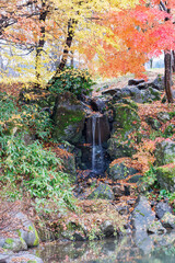 お寺の隣の公園。
池沿いに小さな滝がある。
季節的にちょうど見事な紅葉が見られた。
新潟県十日町市 - 2024年12月1日
