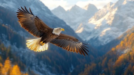Majestic bald eagle soaring through the mountains landscape