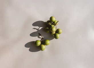 olives on a branch