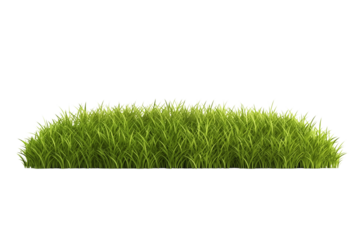 A patch of vibrant green grass isolated against a stark transparent background in a studio setting png