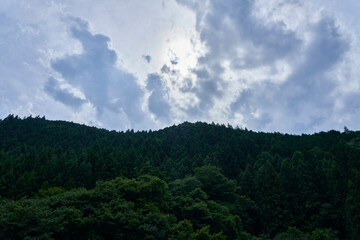緑の息吹 - 曇り空の下、力強く生きる山々の姿