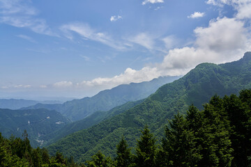 緑の息吹 - 曇り空の下、力強く生きる山々の姿