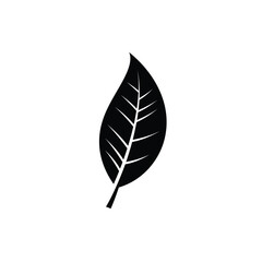 Minimalist Leaf Icon Illustration Representing Nature Growth And Simplicity In Design