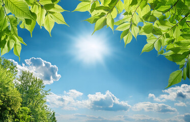 Sun-drenched outdoor background with soft blue sky, fluffy clouds, and green leaves in sunlight. Bright and natural mood. High-resolution, stock-quality image.