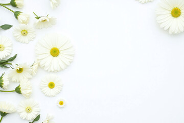 Fototapeta premium bunch of white flowers on a white surface