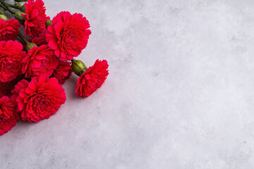 bunch of red carnations on a gray surface