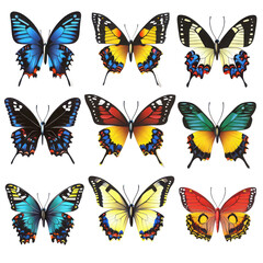 colorful butterfly vector pack