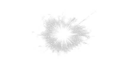 Fototapeta premium dandelion seeds isolated on white background 