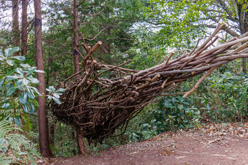 枝の塊。
熱海市の山麓にある広い公園。
美しい名勝地の入江、錦ヶ浦を見下ろす斜面の散策コースを歩いている。
静岡県熱海市-2025/2/1
