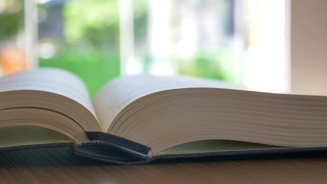 Enjoying a sunny day while reading a book at home