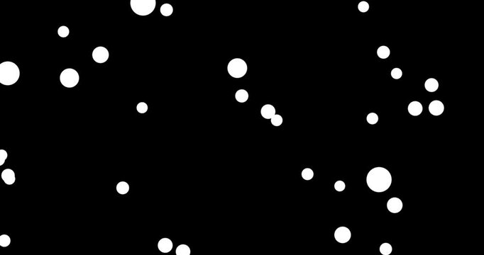 black and white particles animation, fly bubbles in the night.mp4