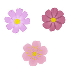 Flat Flower Illustration Set – Decorative PNG Clipart
