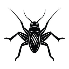 Isolated black beetle and spider vector illustrations depict small insect and animal fauna on a white background