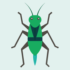 Cute green cartoon insect illustration of a grasshopper and bug isolated on white