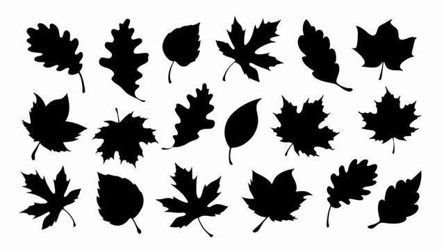 set of autumn leaves silhouette vector on white background