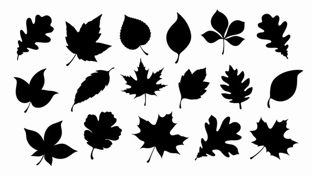 set of autumn leaves silhouette vector on white background