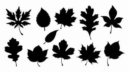 set of autumn leaves silhouette vector on white background
