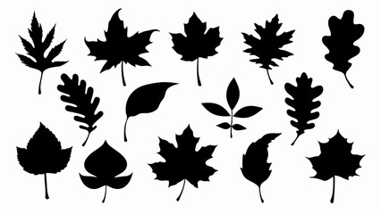 set of autumn leaves silhouette vector on white background