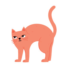 Trendy modern cat in a funny pose is angry isolated on transparent background. Soft pastel delicate cute kitty, kitten in flat style for cards, scrapbooking, stickers.