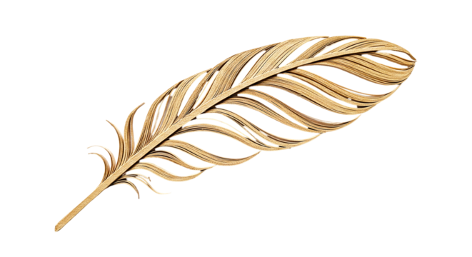 A close up of a golden feather made of thin strips on a black background in a studio shot style