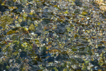 涼しげな風景　透き通る水