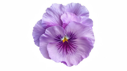 a purple flower on a transparent background, PNG image, PNG file, Generative art.