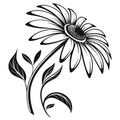 Bold Black and White Flower Illustration, Detailed Petals and Leaves on White, Elegant