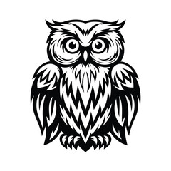 Bold Owl Striking Black and White, Detailed Plumage, Intense Gaze, Wild Bird