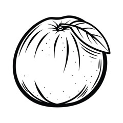 Citrus Fruit with Stem and Leaf, Monochrome Outline Drawing Isolated on White, Simple Style