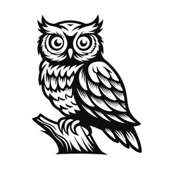 Detailed Owl Illustration, Black Silhouette, Branches, Feathers, Sharp Eyes, Wildlife