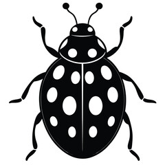 Create a minimalist ladybug vector illustration in black silhouette on a white background perfect for modern designs © Shirin