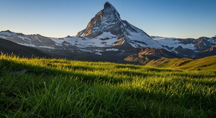 Fototapeta premium Majestic Mountain Vista: A stunning capture of a snow-capped mountain peak against a serene, cloudless sky, with verdant meadow and grassy fields in the foreground.