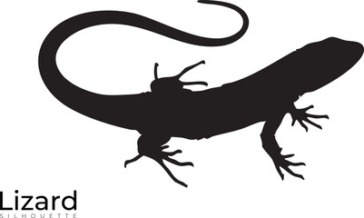 Lizard Vector Silhouette – Reptile Outline Graphic for Wildlife Art, Desert Animal Designs, and Nature-Themed Illustrations