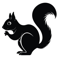 Squirrel silhouette vector icon with white background