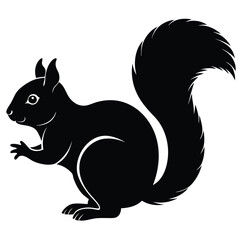 Squirrel silhouette vector icon with white background