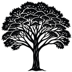 Obraz premium Black and White Silhouette of a Large Deciduous Tree