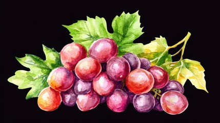 Obraz premium Watercolor Red Grapes, Leaves, Dark Background, Food Design