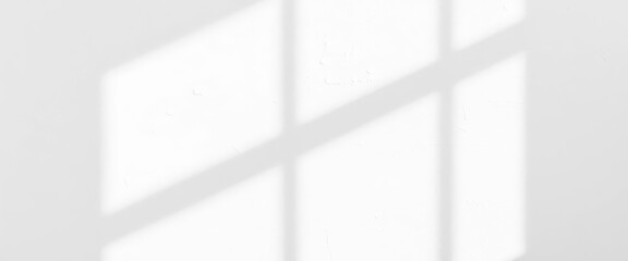 Soft, organic shadow cast on a white textured wall, overlay, clean