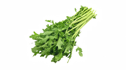 a bunch of green stems of parsley on a transparent background, PNG image, PNG file, Generative art.
