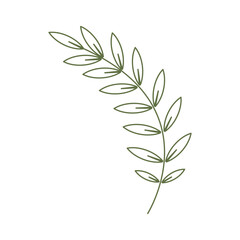 leaf vector illustration