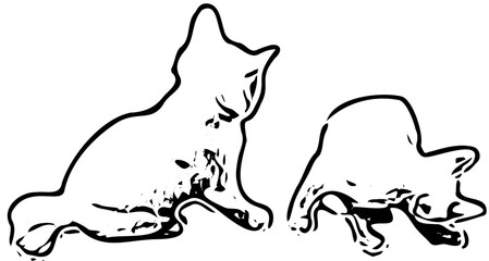 vector illustration of a cat 