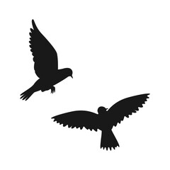 Crow silhouette