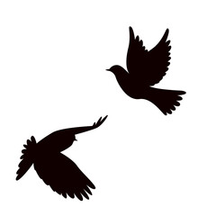 Obraz premium Crow silhouette 