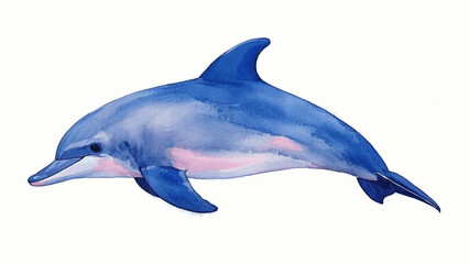 Harmony in hue dolphin isolated watercolor vector illustration svg