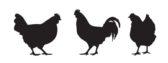 Silhouette of Rooster and chicken hen vector icon set illustration on white background.